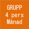 Grupp 4 pers månad